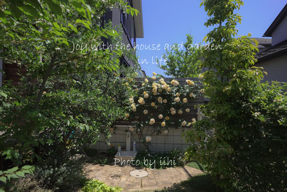 20150510-1joy-with-garden.jpg