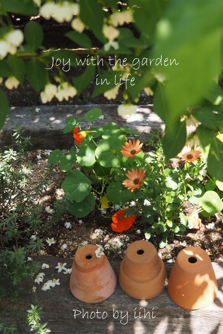 20150510-8joy-with-garden.jpg