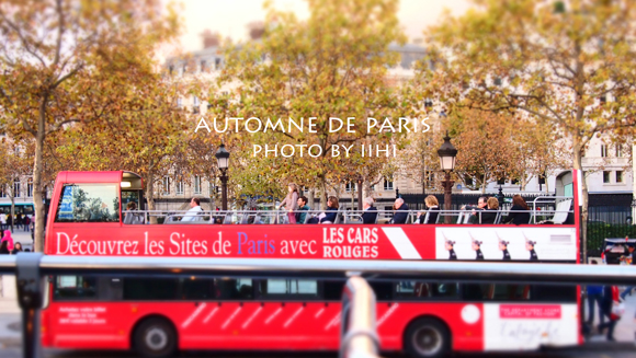 Automne-de-Paris.jpg
