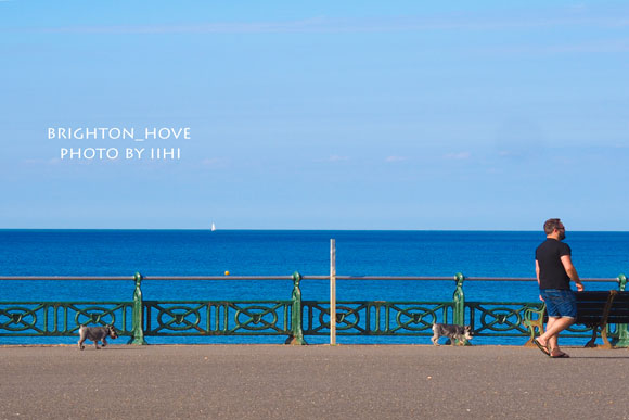 Brighton_Hove2014_019.jpg