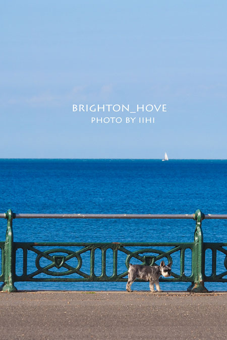 Brighton_Hove2014_027.jpg