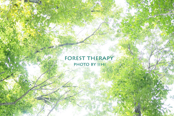 Foresttherapy20140723.jpg