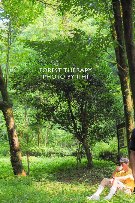 Foresttherapy6-20140723.jpg