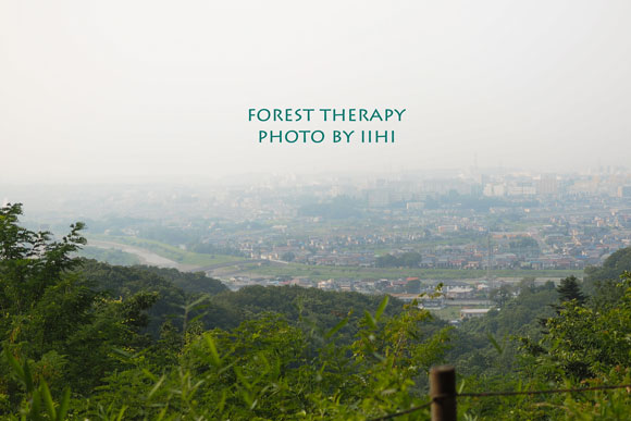 Foresttherapy7-20140723.jpg