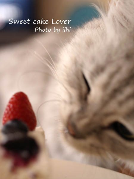 Sweetcake-lover2.jpg