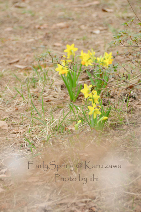 earlyspring_karuizawatabi1.jpg