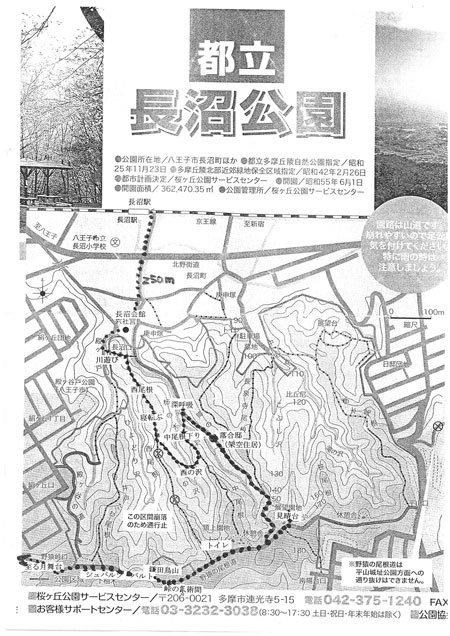 forest naganuma map.jpg