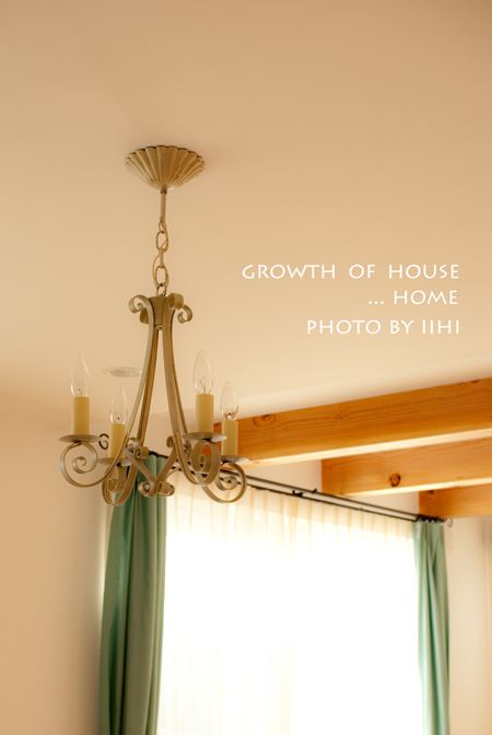 growth-of-home3.jpg