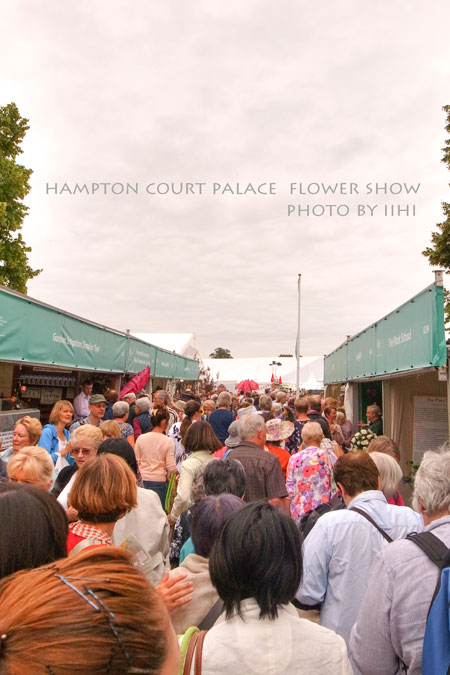 hamptonflowershow2014_002.jpg
