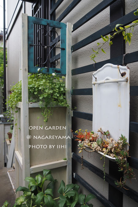 nagareyamaopengarden2015_17.jpg