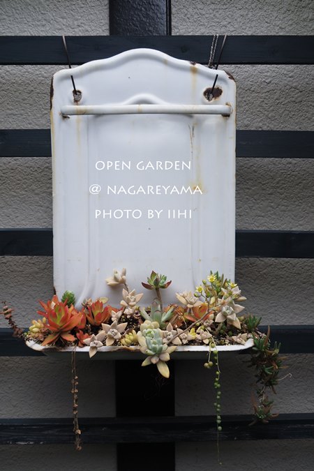 nagareyamaopengarden2015_19.jpg