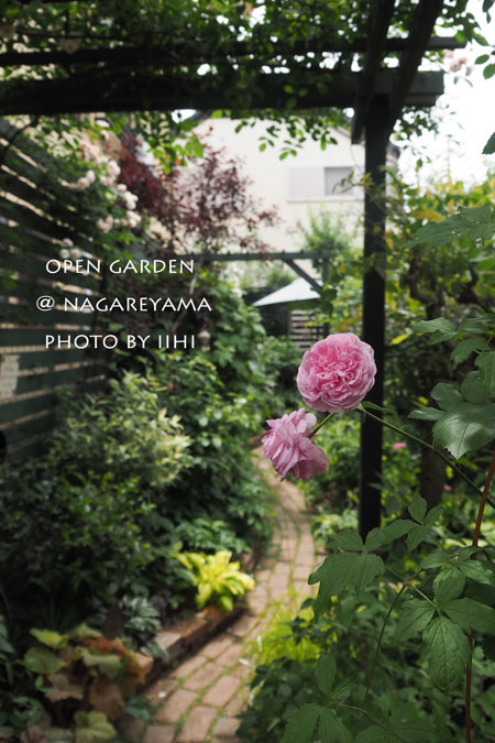nagareyamaopengarden2015_26.jpg