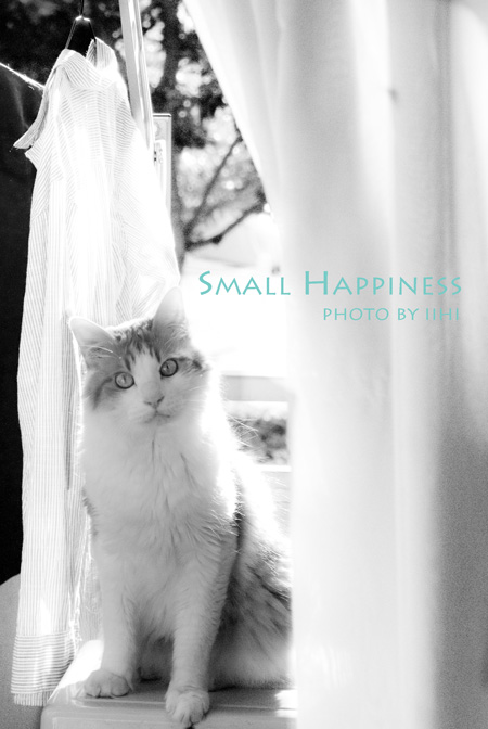 small-happiness-oct2012.jpg