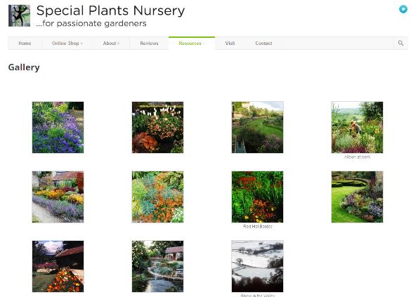 special plants nursery hp.jpg