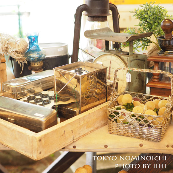 tokyonominoichi2015-29.jpg