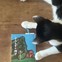 furancenoisuIMG_4269.JPEG