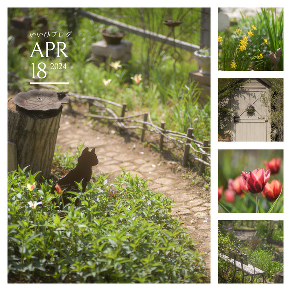 okanoie earlyspring2024Collage.jpg