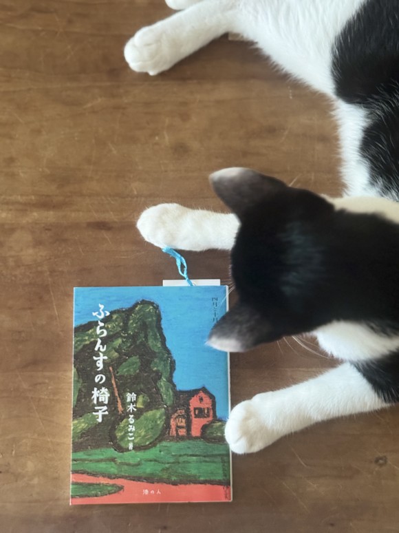 furancenoisuIMG_4269.JPEG