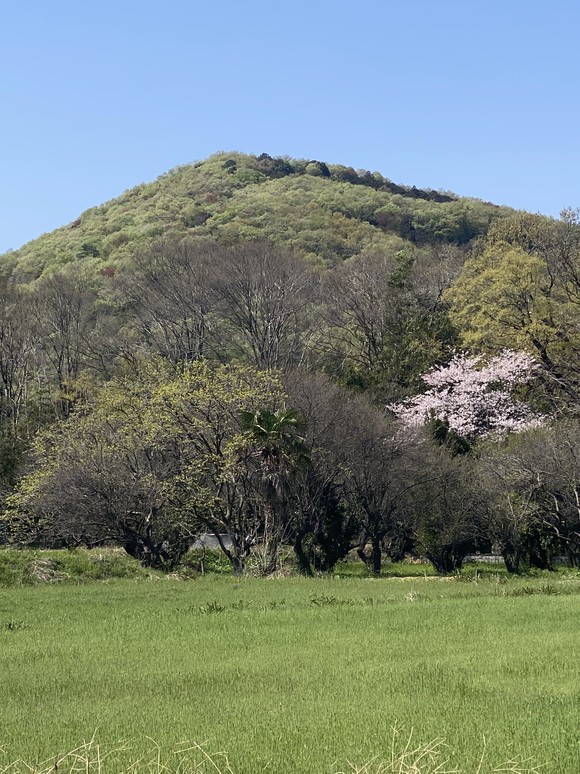 satoyamaspring_tokigawa_IMG_0415.JPEG