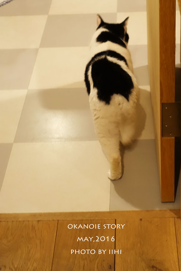20160520okanoie06.jpg