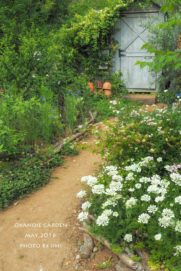 20160520okanoiegarden18.jpg