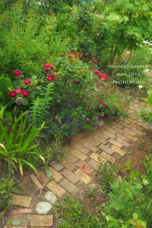 20160520okanoiegarden28.jpg