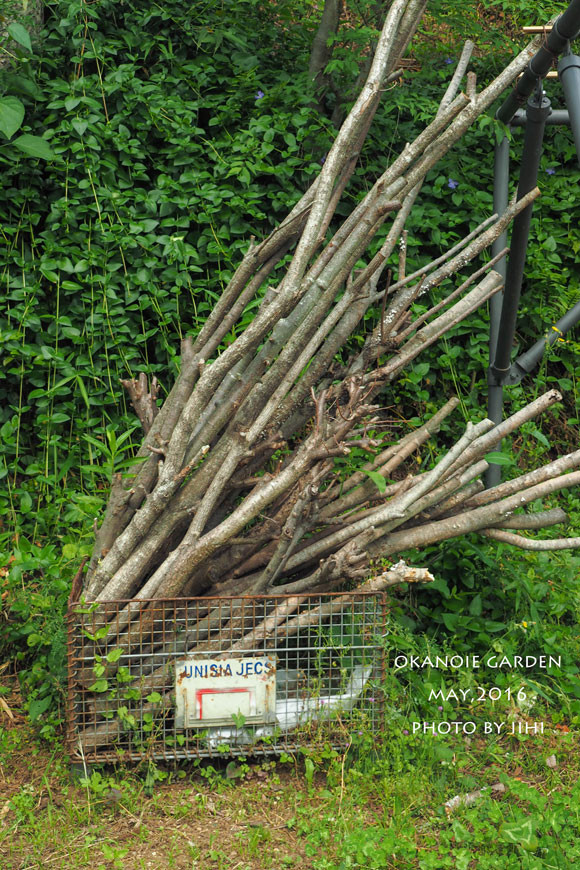 20160520okanoiegarden32.jpg
