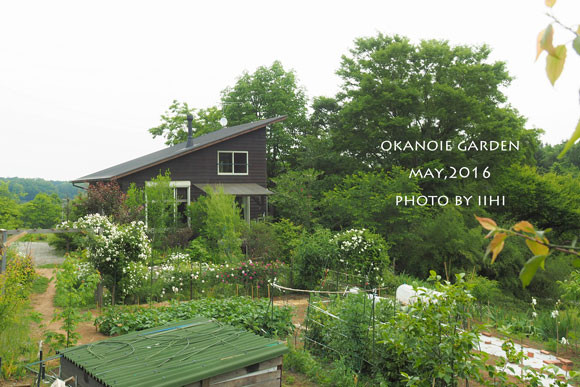20160520okanoiegarden43.jpg