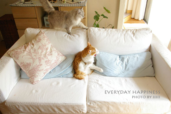Everydayhappiness2-iihi.jpg