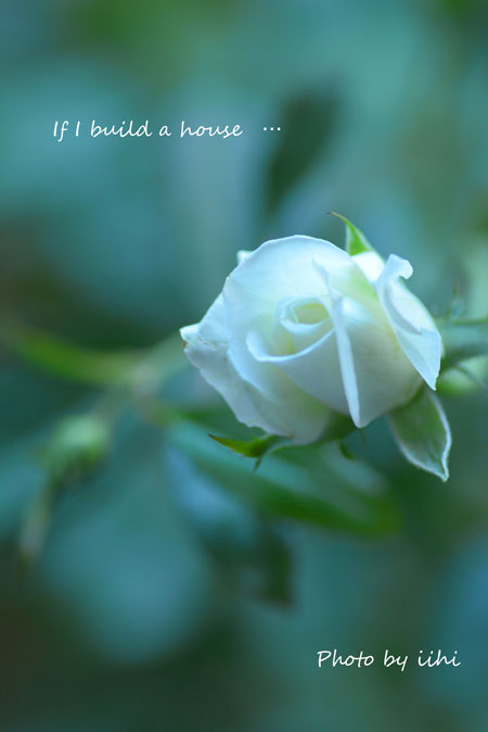 If-I-build-a-house.jpg