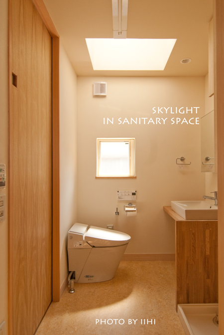 Skylightsanitaryspace.jpg