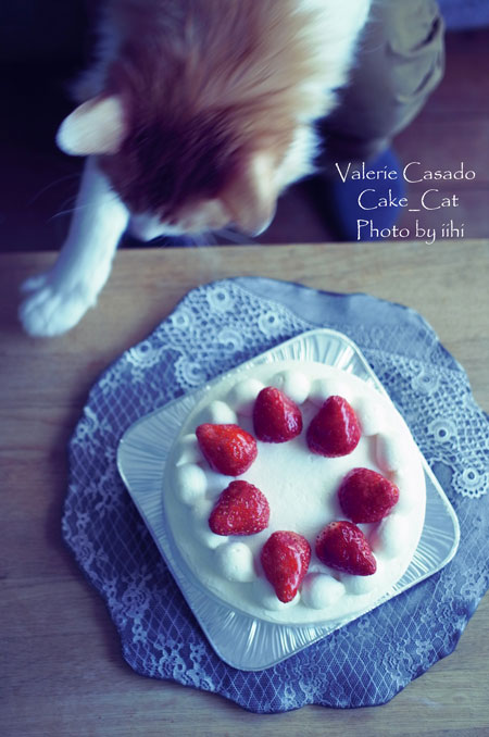 ValerieCasadocake2-20140222.jpg