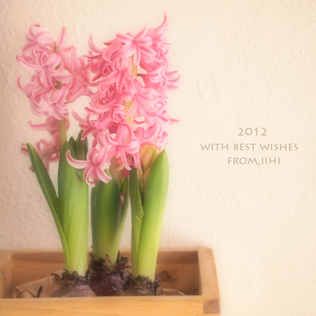 With-best-wishes2012-2.jpg