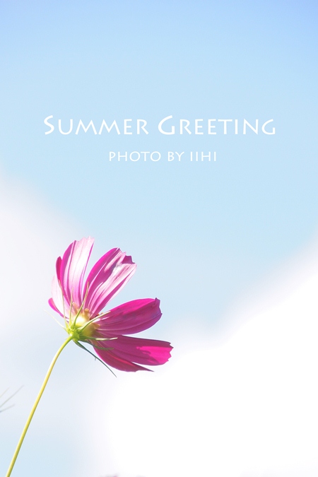 a summer greeting 2012s.jpg