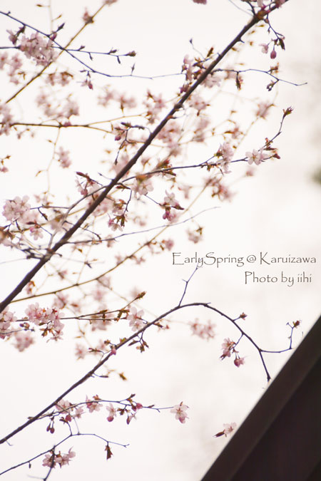 earlyspring_karuizawatabi3.jpg