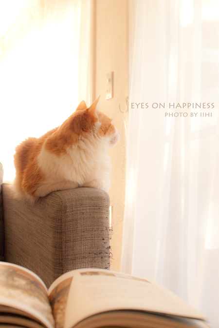 eyes-on-happiness.jpg