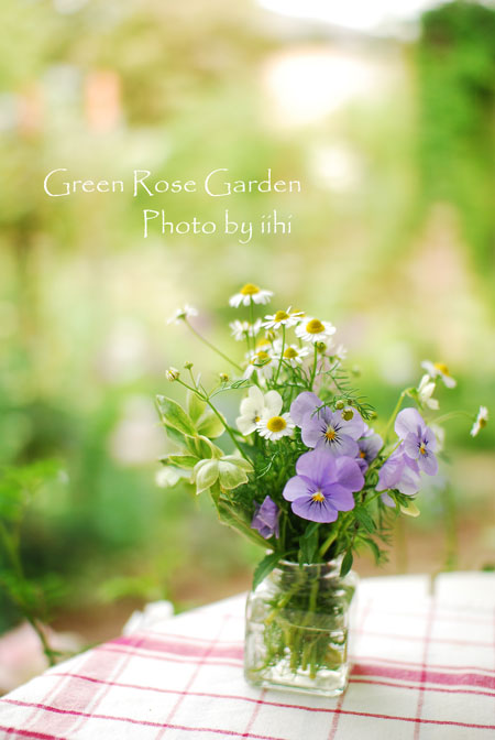 greenrosegarden2014apr-1.jpg