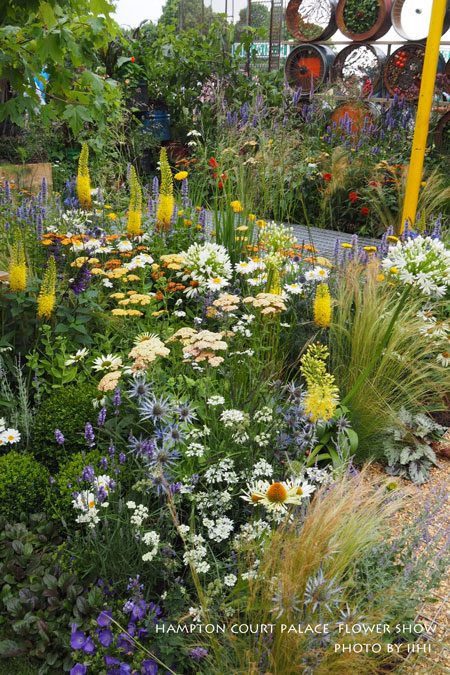 hamptonflowershow2014_009.jpg