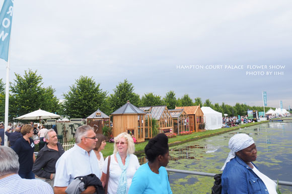 hamptonflowershow2014_028.jpg