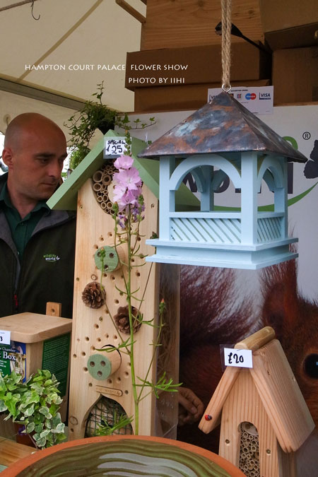 hamptonflowershow2014_055.jpg