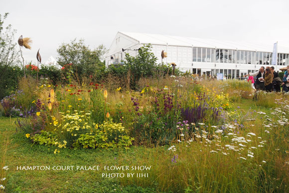 hamptonflowershow2014_063.jpg