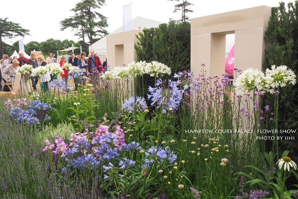 hamptonflowershow2014_064.jpg