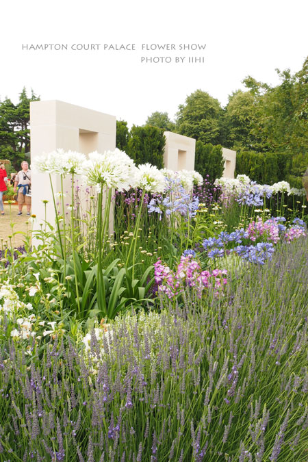 hamptonflowershow2014_066.jpg