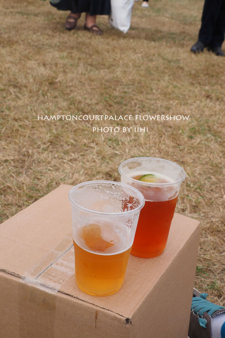 hamptonflowershow2014_087.jpg