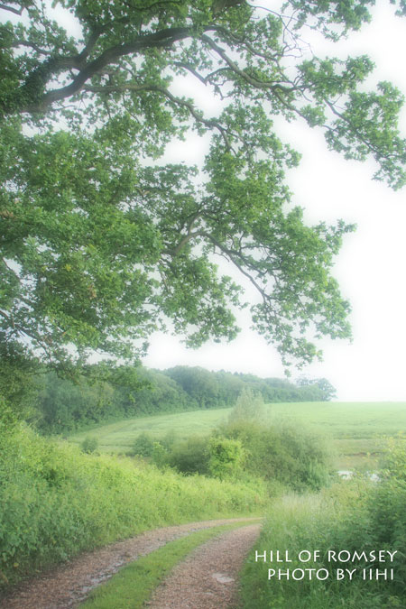hill-of-romsey02_iihi.jpg