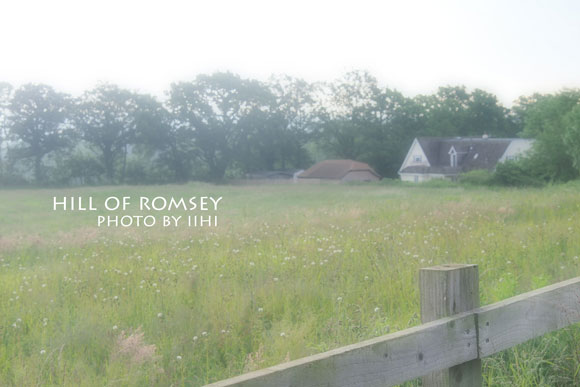 hill-of-romsey03_iihi.jpg