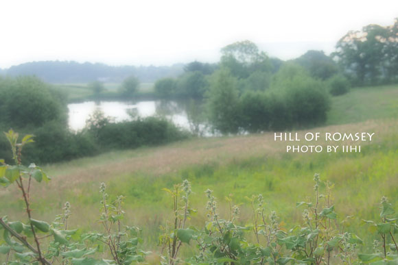 hill-of-romsey05_iihi.jpg