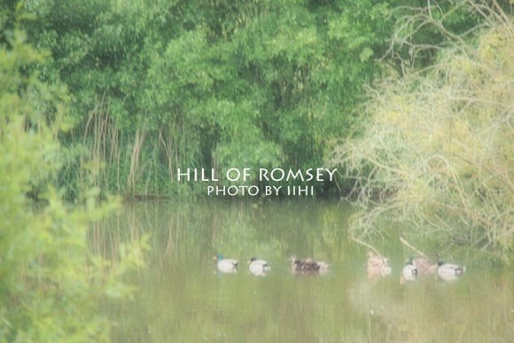 hill-of-romsey08_iihi.jpg
