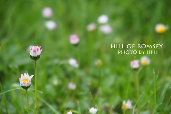 hill-of-romsey09_iihi.jpg