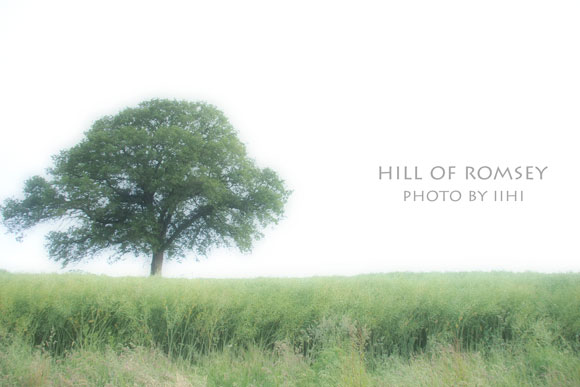 hill-of-romsey13_iihi.jpg